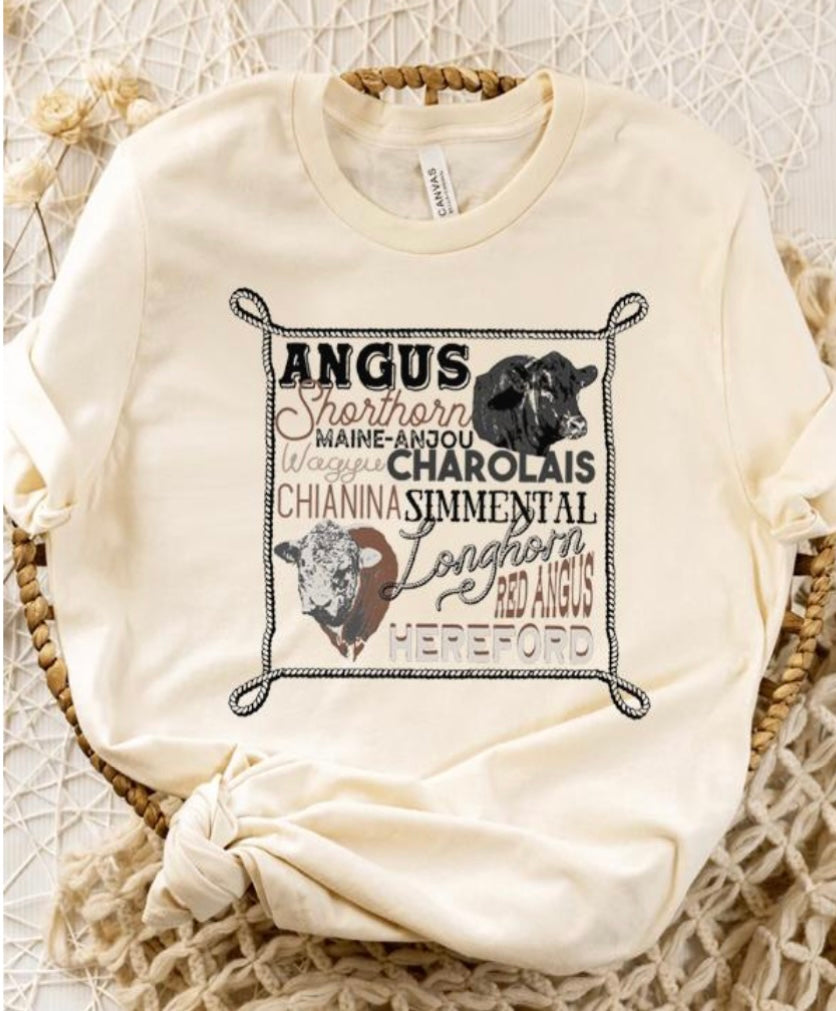 ANGUS BEEF T
